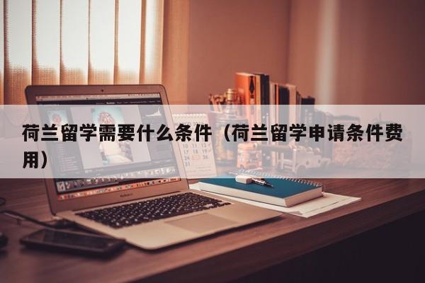 荷兰留学需要什么条件（荷兰留学申请条件费用）