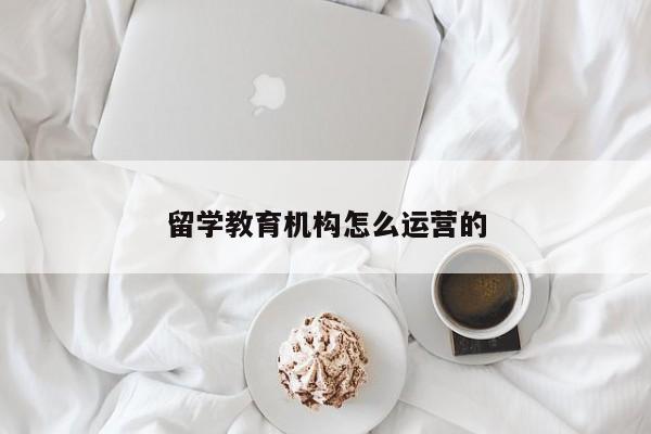 留学教育机构怎么运营的